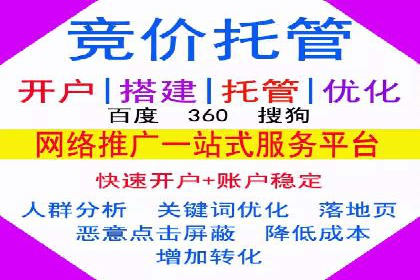 百度推广竞价全解析：某电商平台的营销策略